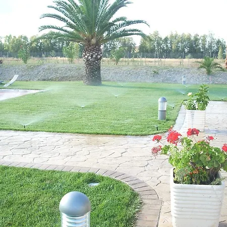 Le Palme אלגהרו